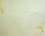 「間の向こう側」　oil on panel 2273×1818(mm)