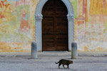 Cividale 