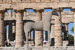 Tempel in Paestum