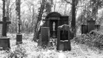 Friedhof Stahnsdorf 2