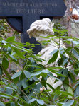 Friedhof Stahnsdorf 1