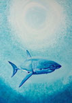 the big white  33 x 46 cm (still available)