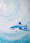 the snow shark 33 x 46 cm (still available)
