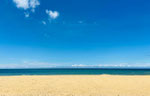 Traumstrand in Negombo