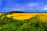 Panorama Landschaften an der Südküste