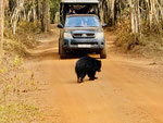 Jeep-Safari im Wilpattu Nationalpark