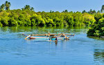 Muthurajawela Mangrove Marsh Boat-Safari auf dem Negombo Hamilton Canal