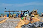 Fischmarkt in Negombo
