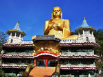 Besuch des Goldenen Tempel und der Höhlen von Dambulla