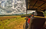 Jeep-Safari im Wilpattu Nationalpark