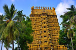 Jaffna Sightseeing