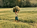 Jaffna Sightseeing