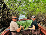 Madu River Boot-Safari