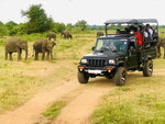 Jeep-Safari im Kumana-Nationalpark