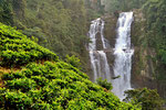 Ramboda Wasserfall
