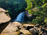 Dschungel-Safari im Sinharaja Nationalpark