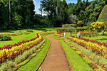 Besuch des Royal botanischen Gartens von Peradeniya