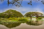 Udawalawe See