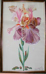 Orchid on silk (private collection)