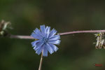 Bild Nr. BNF08927