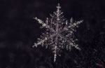 Bild Nr. BNF07147-1