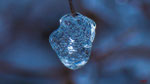 Bild Nr. BNF4201-2