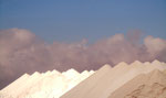 Ses Salines
