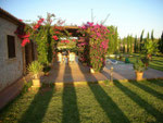 Finca Felanitx