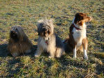 Attila,Kirana und Shira