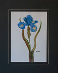 Blume , Künstlerin: Karin Wolter,  Größe 40 x 50 cm (33 x 36 cm ohne Passepartout),  Aquarell,  Blatt, Passepartout (dunkelgrün) Bild Nr. 071/1, Spendenvorschlag 180 €