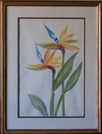 Blumen,  Künstlerin: Karin Wolter, Größe 53 x 71 cm (35 x 51 cm ohne Rahmen) , Wasserfarbe auf Blatt,  Passepartout, Holzrahmen , Bild Nr. 099/1, Spendenvorschlag 300 €