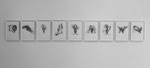 Vestiges irréguliers, série de 9 fusains sur papiers, 21 x 29,7 cm, 2010