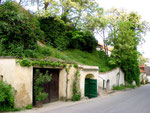 ... und die Kellergasse ist von Blüten weiß gesäumt.