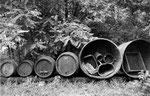 ... Weingeschirr zum Trocknen ins Freie gestellt ...