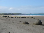 Moeraki Boulders - ein Phänomen für das niemand eine Erklärung hat