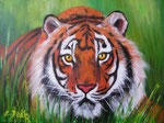 Tiger - Auftragsarbeit