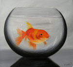 Goldfisch 40 x 40 verkauft