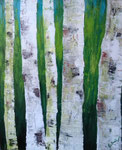 Birken 50 x 60 verkauft