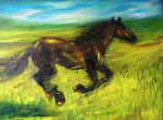 Friesestute, 60 x 80 verkauft