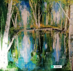 Birkenwald 80 x 80 verkauft
