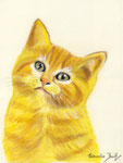 Katze - Farbstiftzeichnung - verkauft