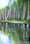 Birkenwald 50 x 70
