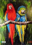 Papageienpaar 60 x 80 verkauft