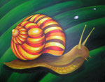Schnecke - verkauft