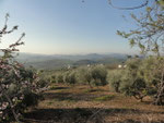 Ausblick von Villanueva de la Concepción