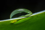 Wassertropfen Waterdrop