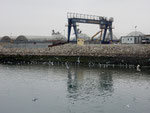 in de haven