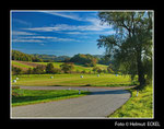 Herbst am Jauerling