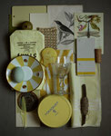 Yellow and Cream inspiration palette. Photograph © Eve Ashcraft