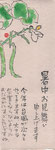 いんげん(細川紙）１６×４４センチ
